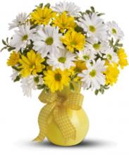 White and yellow daisies vase White and yellow daisies vase